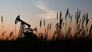 Доля нефтегазового сектора в ВВП России в прошлом году опустилась до 13% — это минимальный уровень с 2017 года. Снижение связано с санкциями, ограничениями добычи, более низкими ценами на нефть и укреплением рубля, что уже ударило по прибыли компаний и нефтегазовым доходам бюджета.
