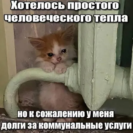 ВС подтвердил, что требовать из жильцов оплату задолженностей по капитальному ремонту старше трёх лет недопустимо — срок исковой давности по таким требованиям составляет три года.