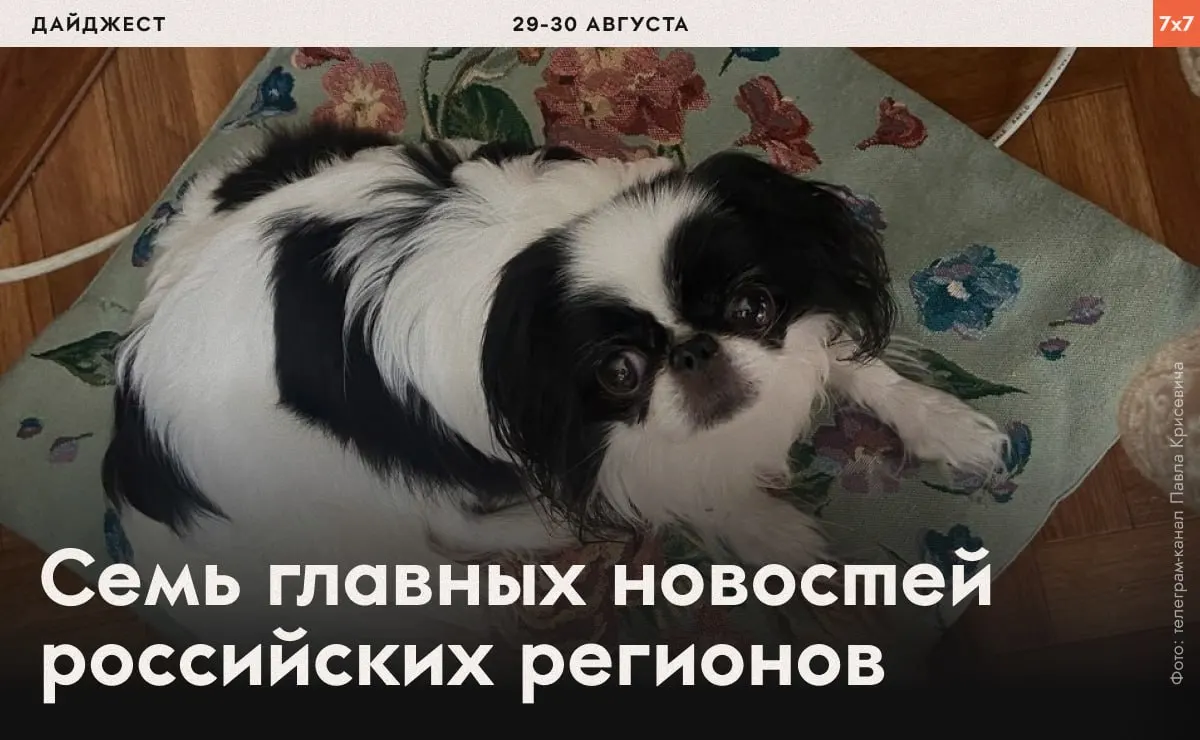 В разных регионах фиксируются случаи давления на активистов, проверки маникюрщиц и запреты на агитацию за мир и свободу.