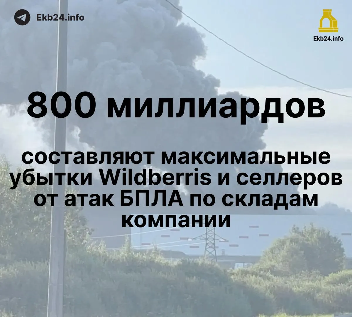 Атаки дронов на инфраструктуру Wildberries наносят маркетплейсу и его партнёрам значительный урон: ущерб оценивается в 600–800 млрд рублей, у части продавцов уничтожено до 95% ассортимента, выплаты задерживаются.