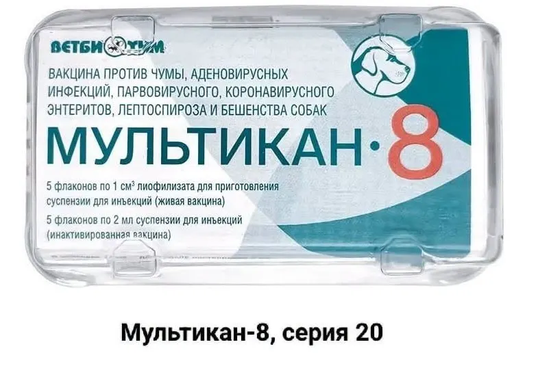 В нескольких регионах фиксируются смерти собак после прививки вакциной Мультикан-8; производитель отозвал серии, начато расследование, общество требует правды.