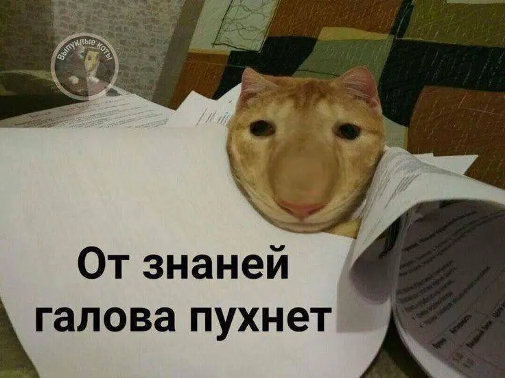 Минспорт планирует ввести норматив по управлению небольшим дроном в тестовом режиме уже в этом году; с следующего года знак ГТО будет давать до 10 баллов к результатам экзамена.