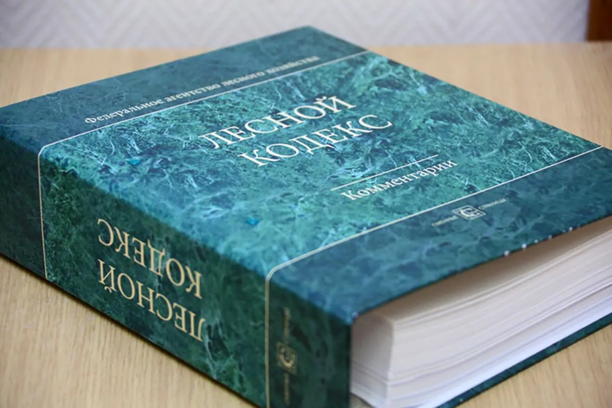 С 2006 года в Лесной кодекс РФ внесли 79 наборов поправок, последний пакет вступит в силу в сентябре. По мнению эксперта по лесному хозяйству, документ устарел и требует полной замены и значительного упрощения.