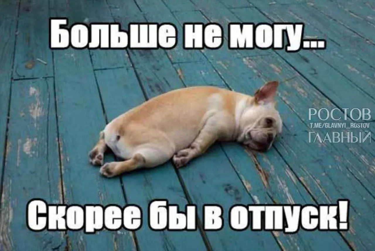В Госдуме предлагают повысить минимальную продолжительность ежегодного оплачиваемого отпуска с 28 до 35 дней, чтобы компенсировать выходные и снизить риск выгорания.
