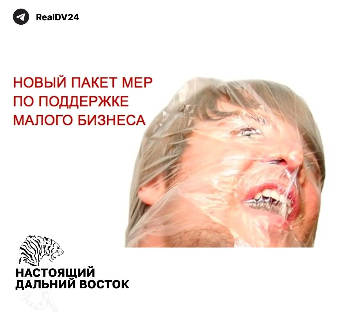 Федеральная налоговая служба направила регионам рекомендации по увеличению налоговых поступлений — в списке мер повышение транспортного и земельного налогов, расширение налогообложения недвижимости и пересмотр льгот для бизнеса.