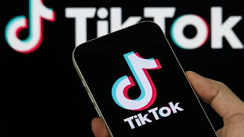 Платформу оштрафовали после того, как в ней оставались два ролика, которые, как утверждается, содержали «пропаганду нетрадиционных сексуальных отношений».