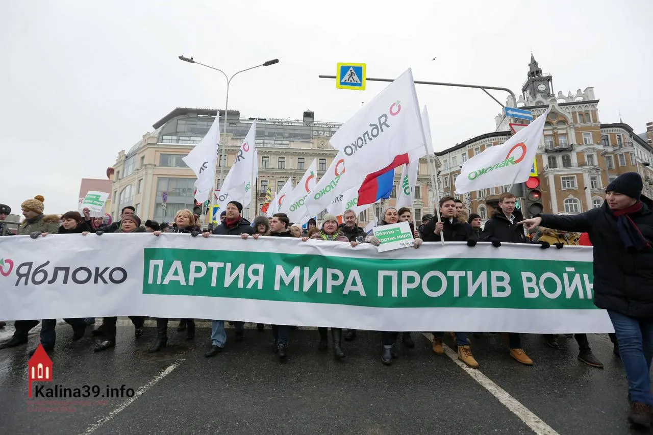 Регистрация федерального списка «Яблока» объясняется желанием выворачивать протестные настроения в безопасное русло: партия остаётся единственной зарегистрированной силой против войны, но многие её видные кандидаты не допущены.