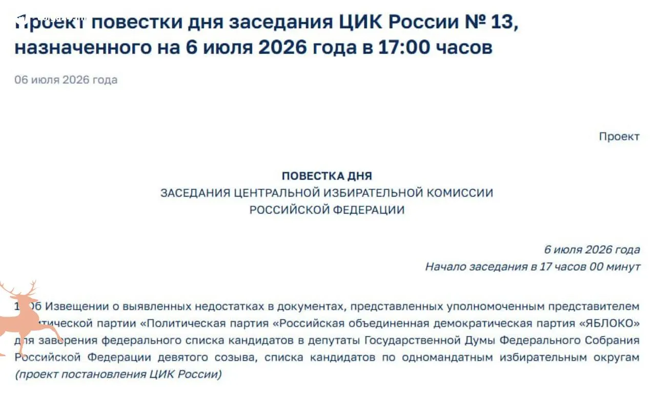 Центральная избирательная комиссия заявила о «недостатках» в документах партии «Яблоко» и назначила экстренное заседание на 6 июля — это ставит под угрозу участие независимых кандидатов в кампании.