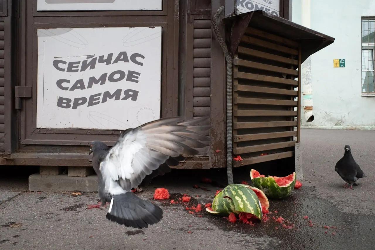 В Петербурге и Ленобласти проходят судебные заседания и памятные службы, а в России и мире разворачиваются политические события и новые кампании.